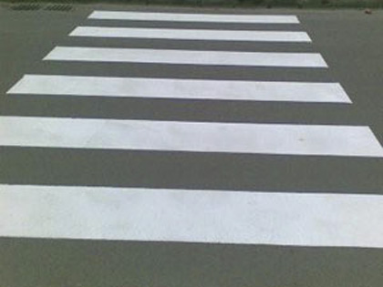 74539-zebra