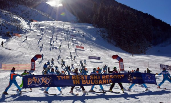 bansko23443
