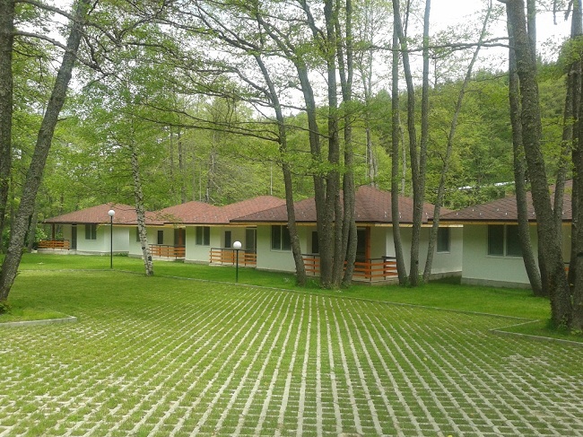 20140603 113617