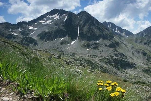 ap pirin