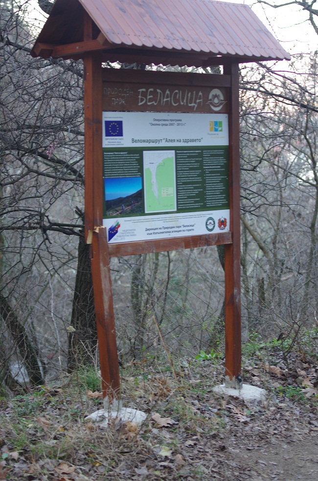imgp5935