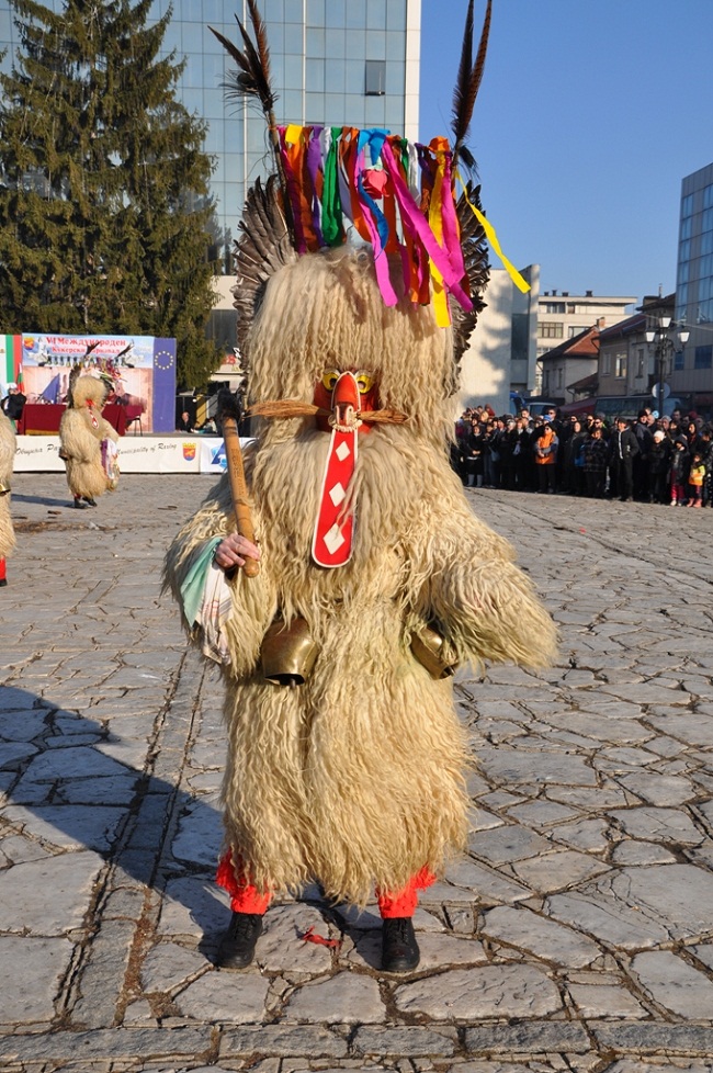 dsc 0872