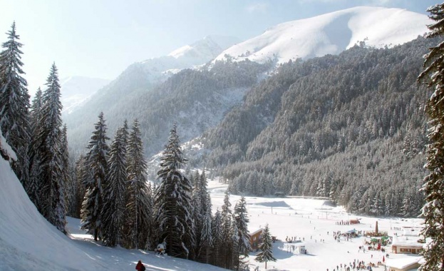 pirin234234