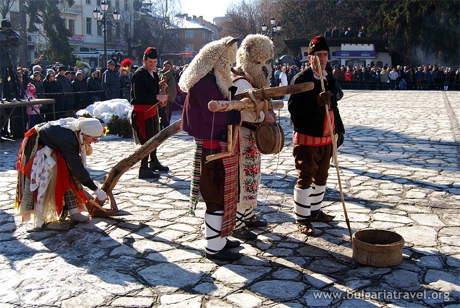 starchevata razlog
