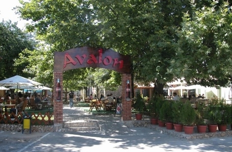 avalon3454