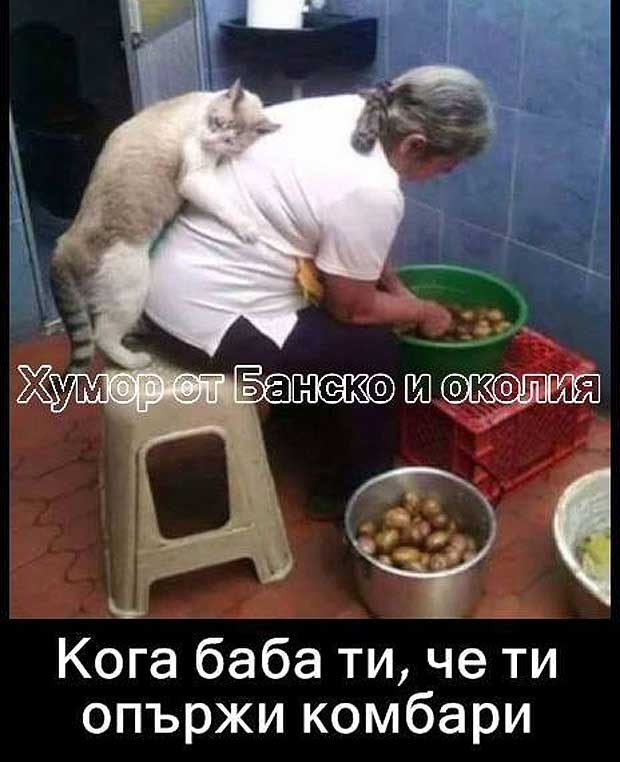 15-01-11-371936923 n