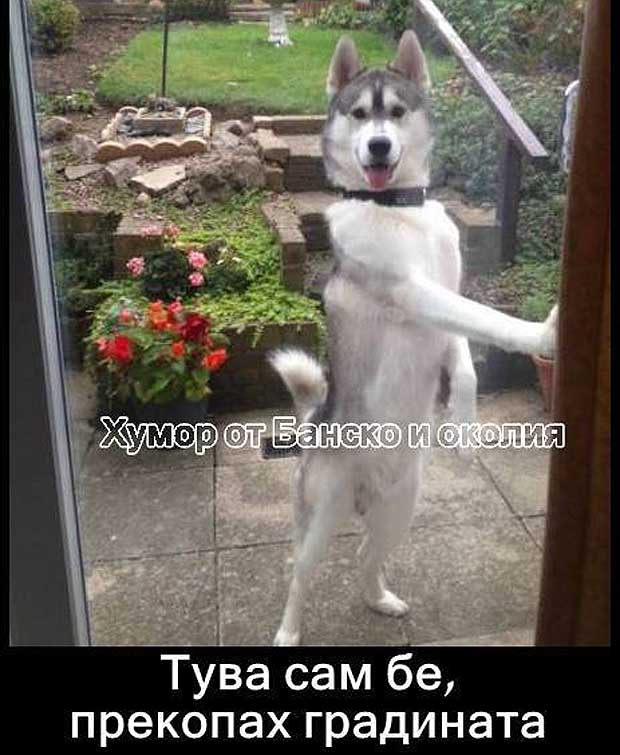 15-01-11-68447 1342555894 n
