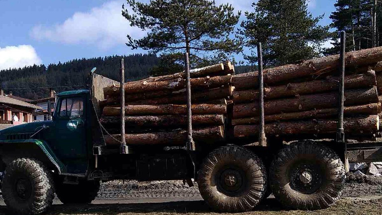 gorsko768x432