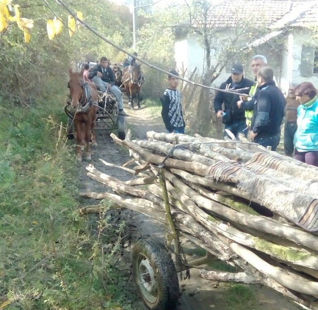 karucidarva