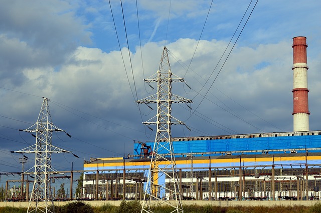 tok30111618