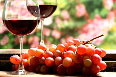 vino345