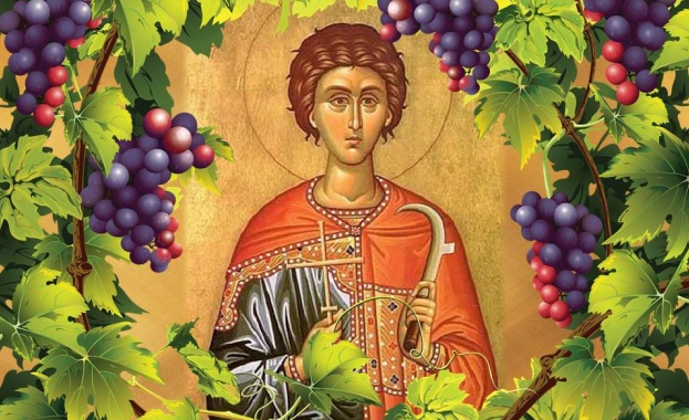 svtrifona