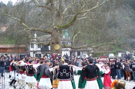 zlatengrozd
