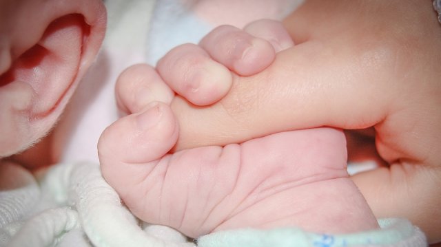 2558af93e9426db9ce11f014247cbc5a-baby