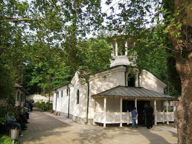 svetapetka