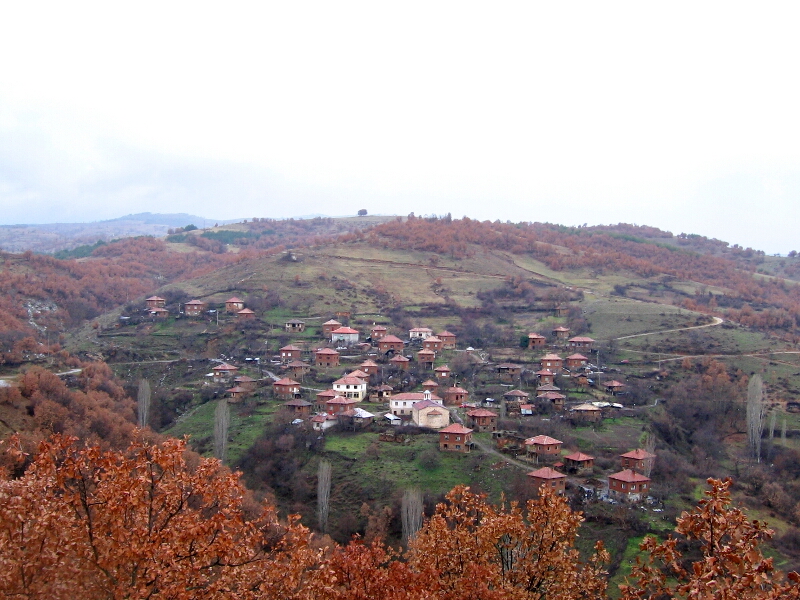 selobogorodica