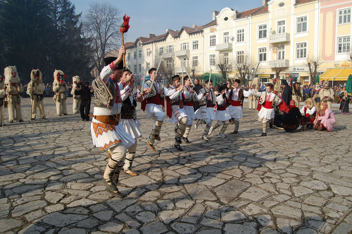 starchevata 1-1