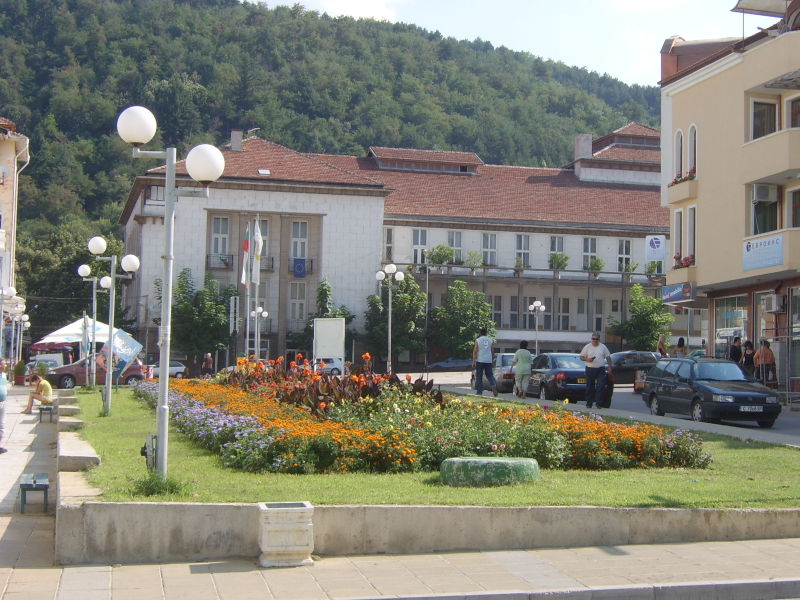 1-petrich