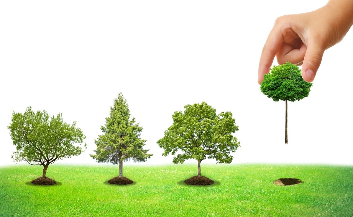 header.image.dk