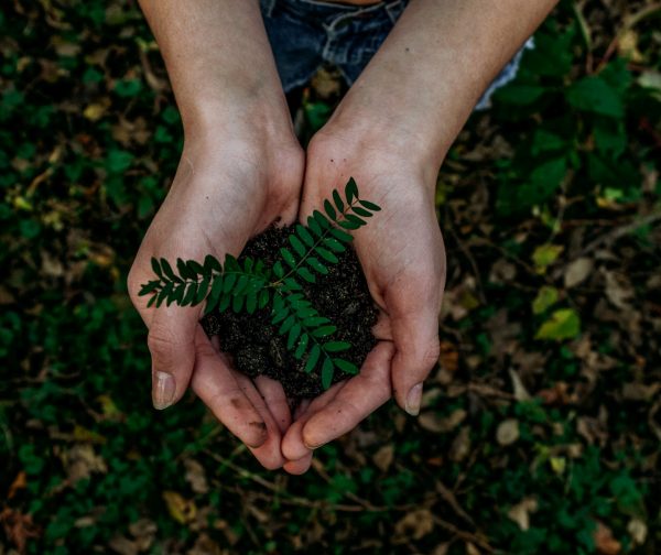 noah-buscher-x8zstuks2pm-unsplash-600x504