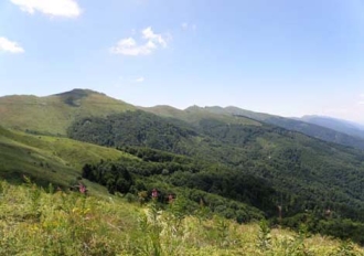 belasica