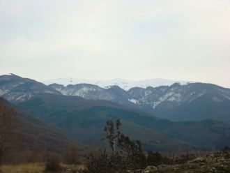 belasica1