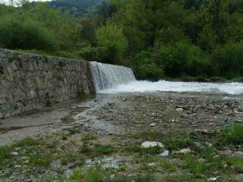 bistrica-2