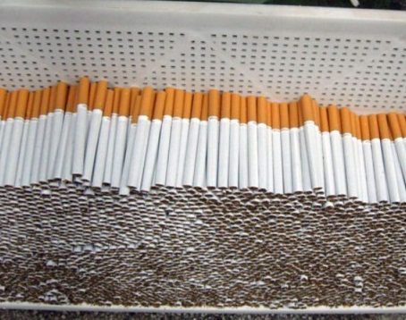 cigari1