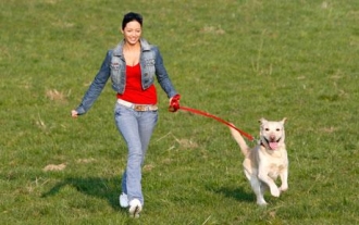 dog-walking