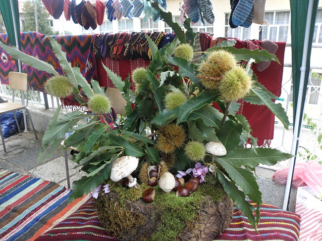 p1010044