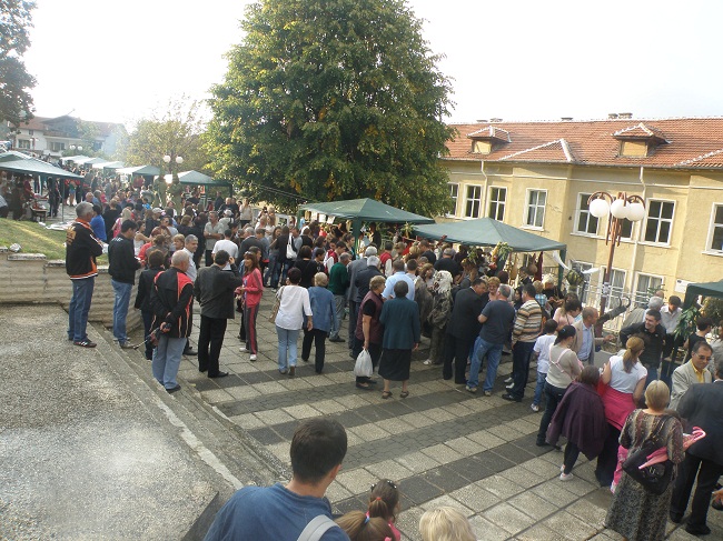 p1010186