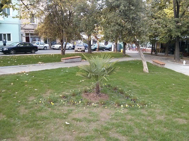 img 20131030 155848