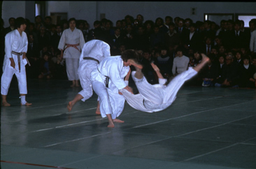 judo