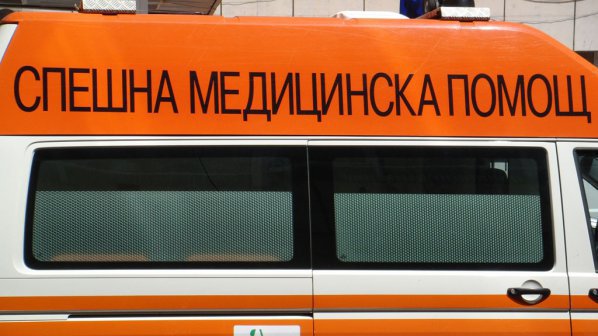 lineika39408