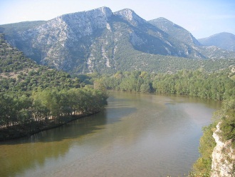 mesta