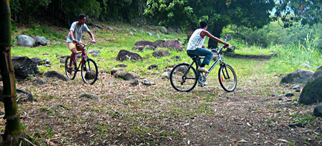 mountain biking