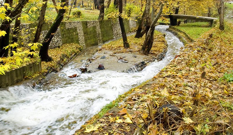 petrich park