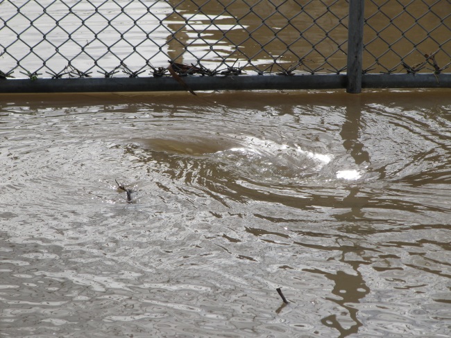 petrichnavodnenie2