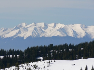 pirin