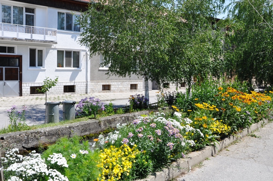 razlogcvetq