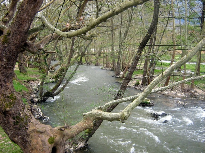 rekastrumeshnica