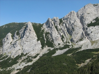 stapalata pirin
