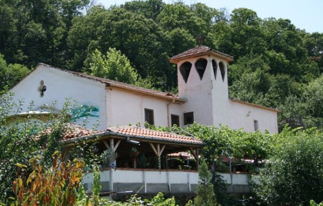 sviliavbelasica