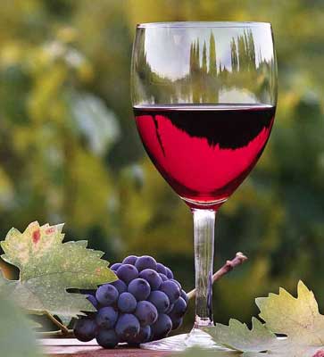 vino2939504