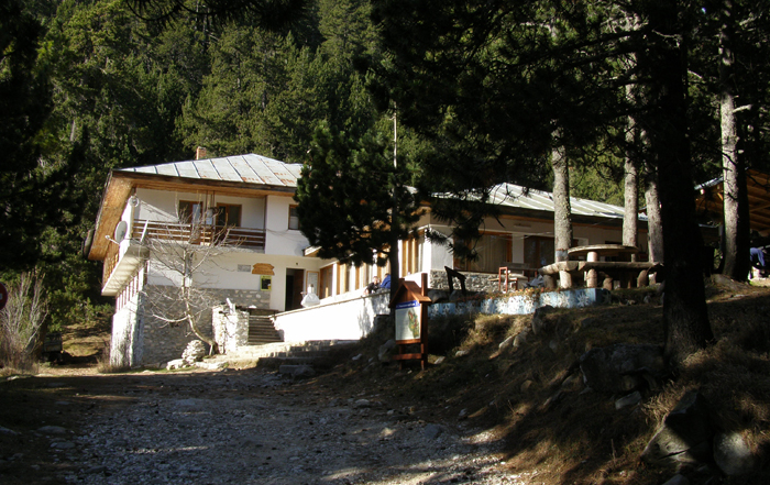 yavorov nova